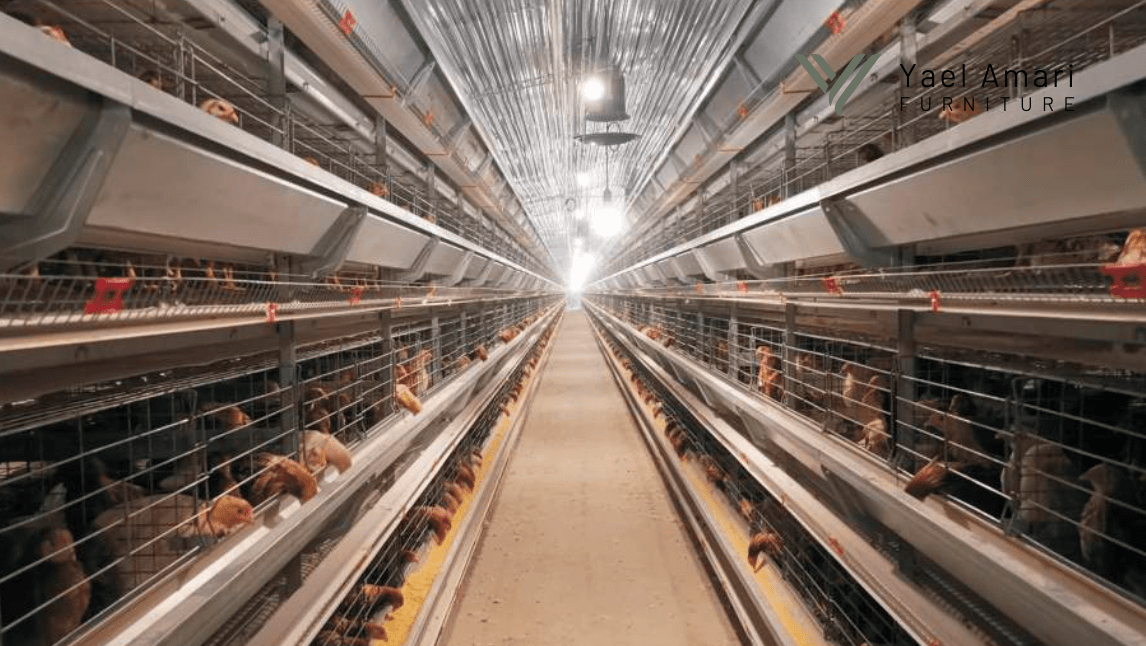 Sistem Closed House Layer Petelur - Kandang Ayam Petelur Modern