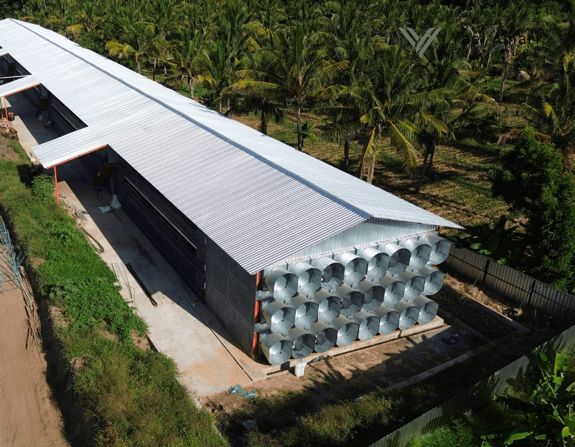 Sistem Closed House Kandang Ayam Broiler - Pembangunan Kandang Modern