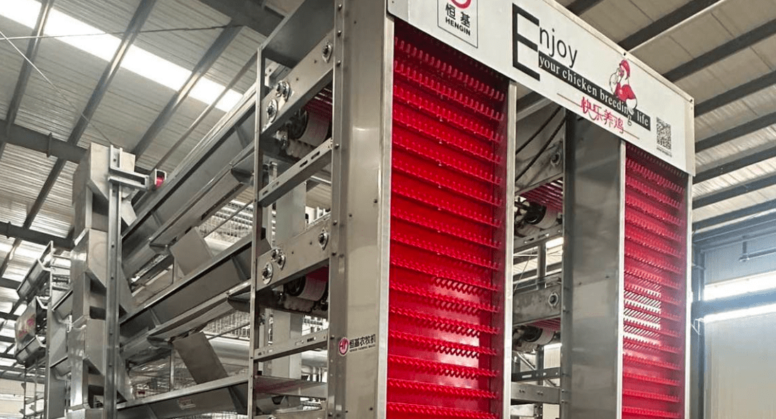 Egg Collecting System Otomatis - Sistem Pengumpulan Telur Modern