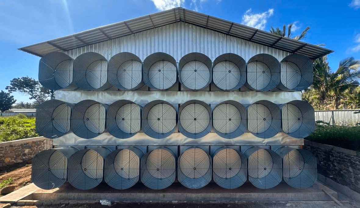 Ventilasi Kandang Ayam - Exhaust Fan dan Blower untuk Sirkulasi Udara